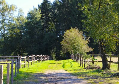 Manège des Houx - Chemin