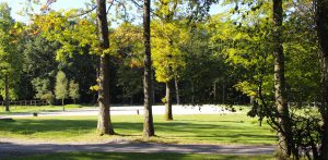 Manege des Houx - piste extérieure
