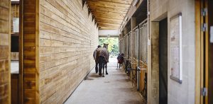 Manege des Houx - chevaux