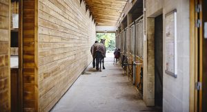 Manège des Houx - chevaux