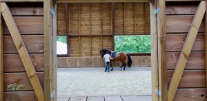 Manege des Houx - piste interieure